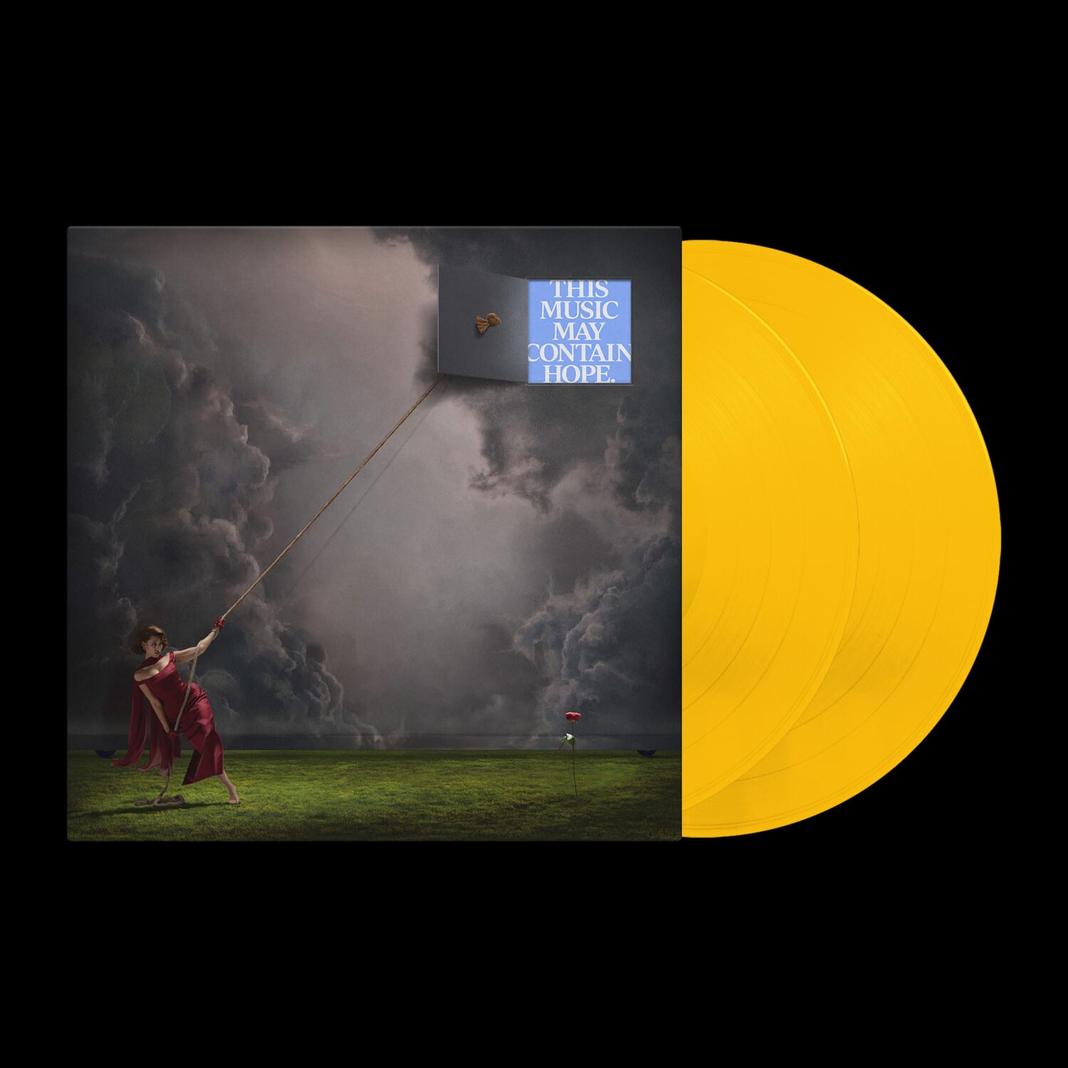 Raye - This Music May Contain Hope   - VINYL LP price history on PriceWatchPro