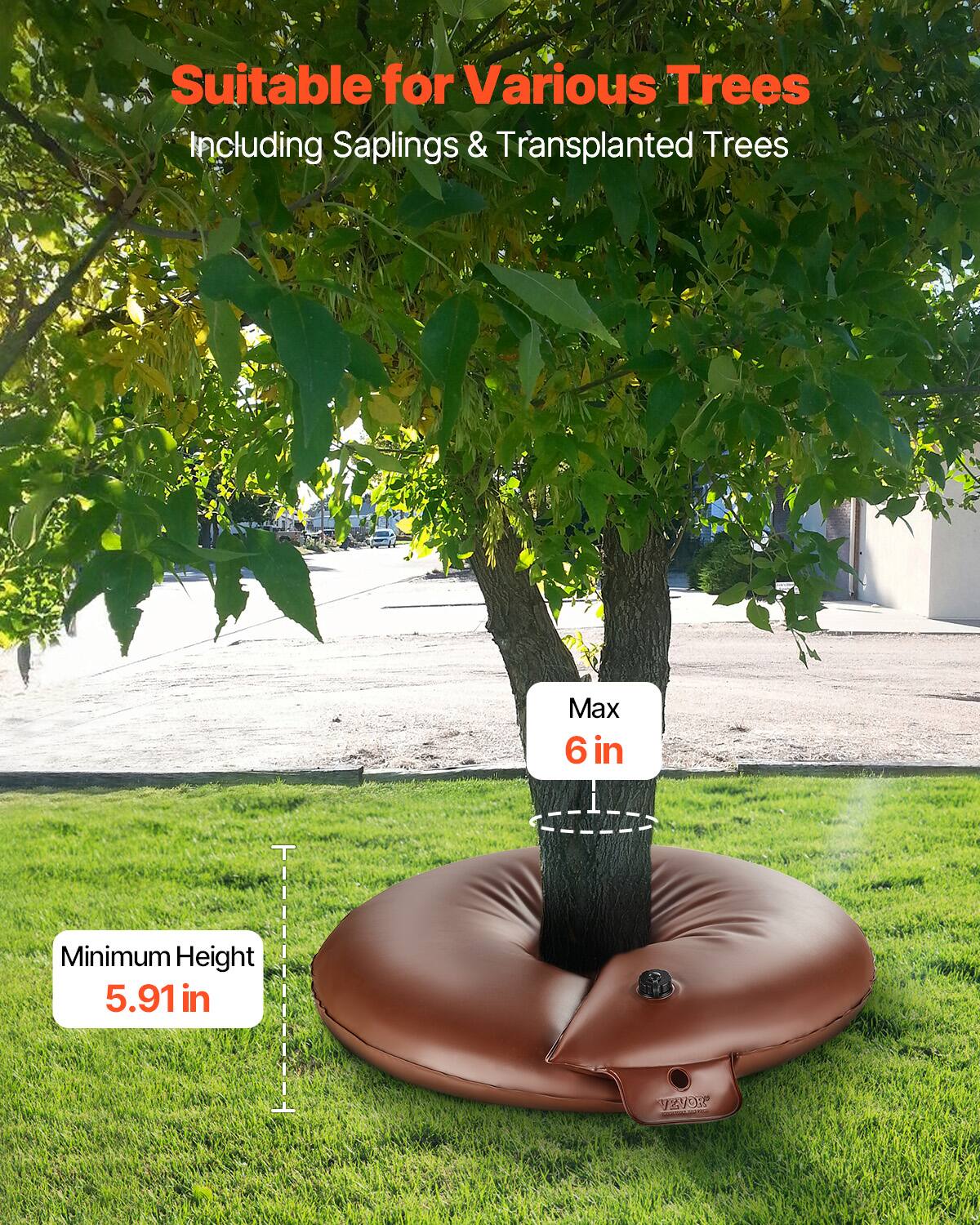 Suitable for Various Trees Including Saplings & Transplanted Trees  
Minimum Height 5.91 in  
Max 6 in