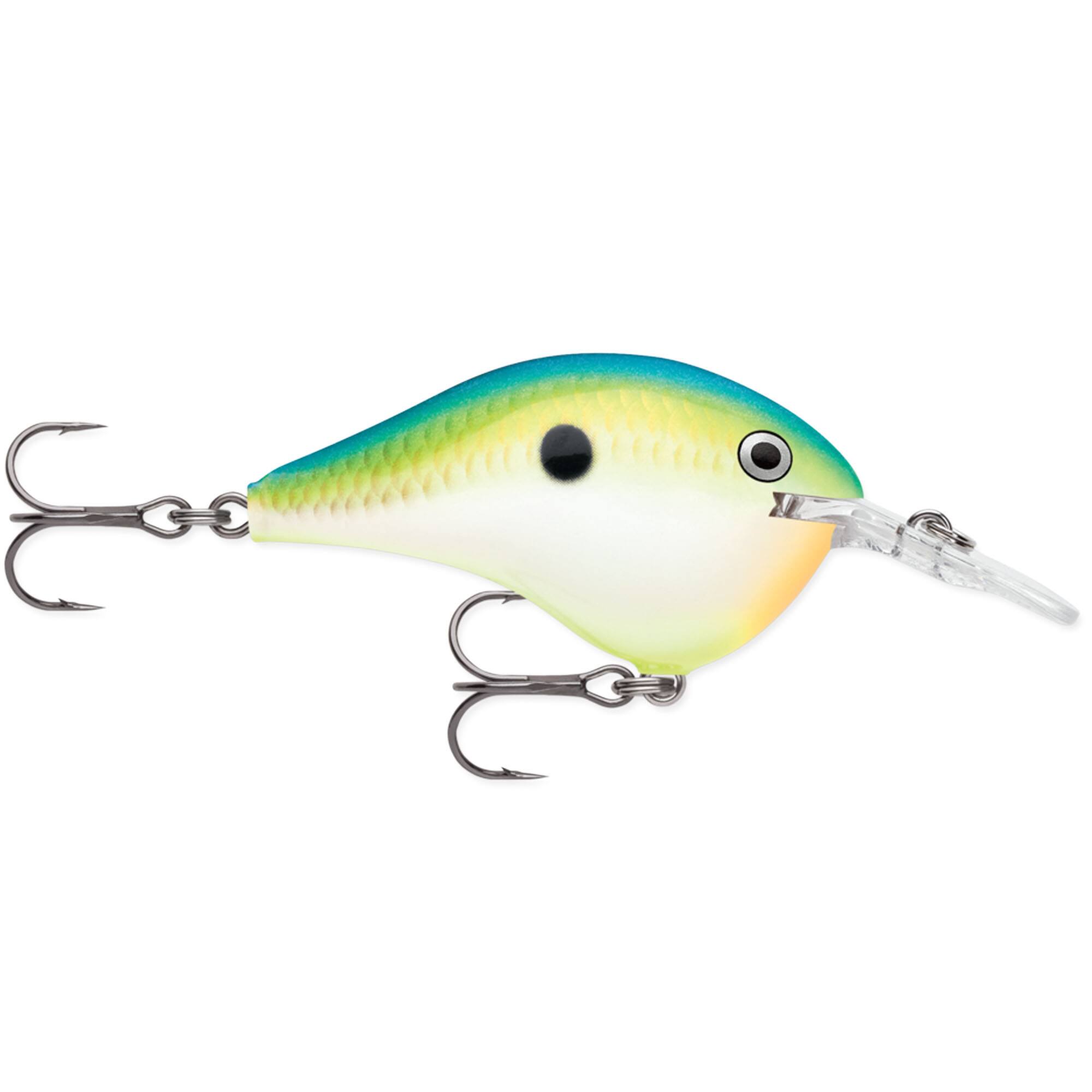 Citrus Shad