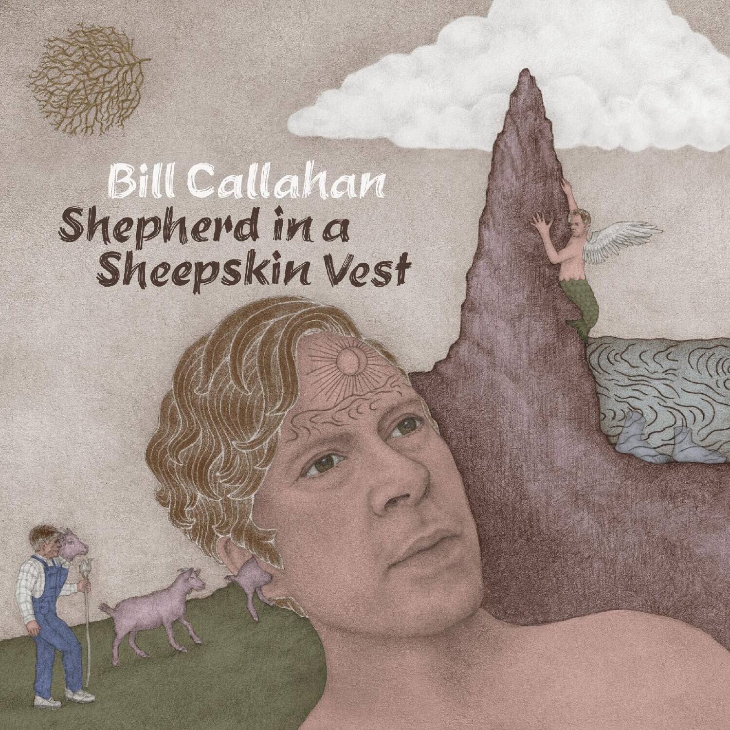 Bill Callahan - Shepherd In A Sheepskin Vest   - VINYL LP price history on PriceWatchPro
