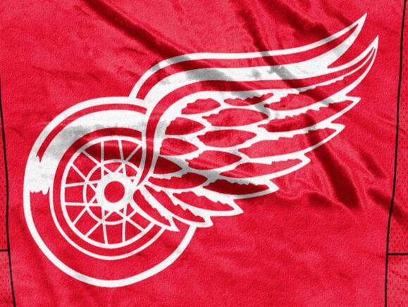 Alt View 3. Northwest - Detroit Red Wings 50x60 inch Jersey Design Royal Plush Raschel Blanket Throw - Multi.