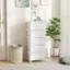The image features a white dresser with a potted plant on top of it. The dresser is placed next to a door, and there is a trash can nearby. Additionally, there are two pictures on the wall, and a book can be seen on the dresser. The scene appears to be a cozy and organized living space.