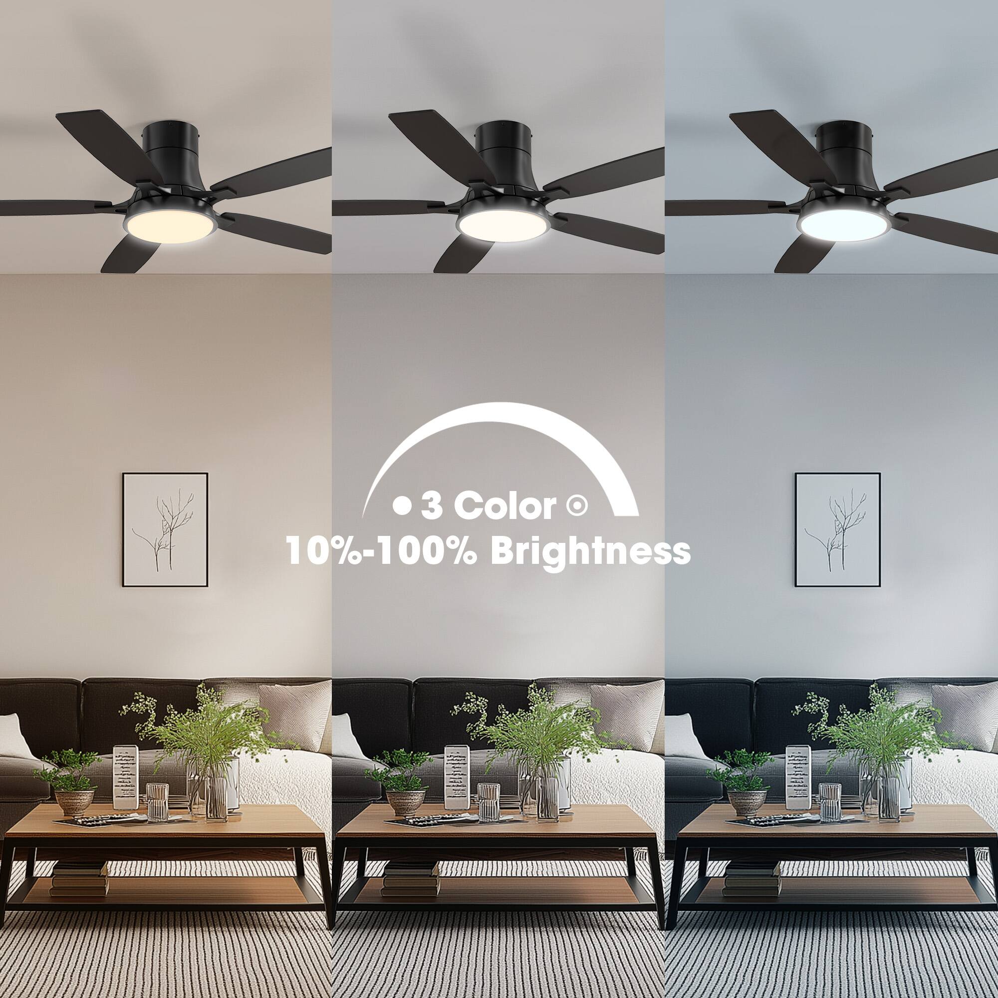 3 Color  
10%-100% Brightness