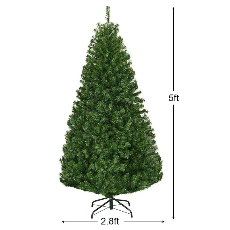 5ft  
2.8ft
