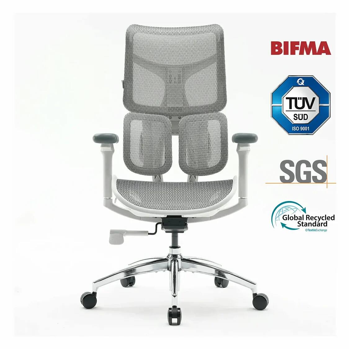 SIHOO - Doro S100 Ergonomic Office Chair with 3 Back Support Model 5-Level Adjustable Backrest - Gray