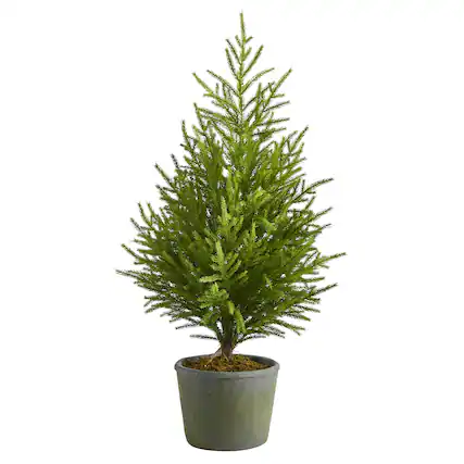 Front. BreeBe - 3’ Norfolk Island Pine “Natural Look” Tree in Planter - Green.