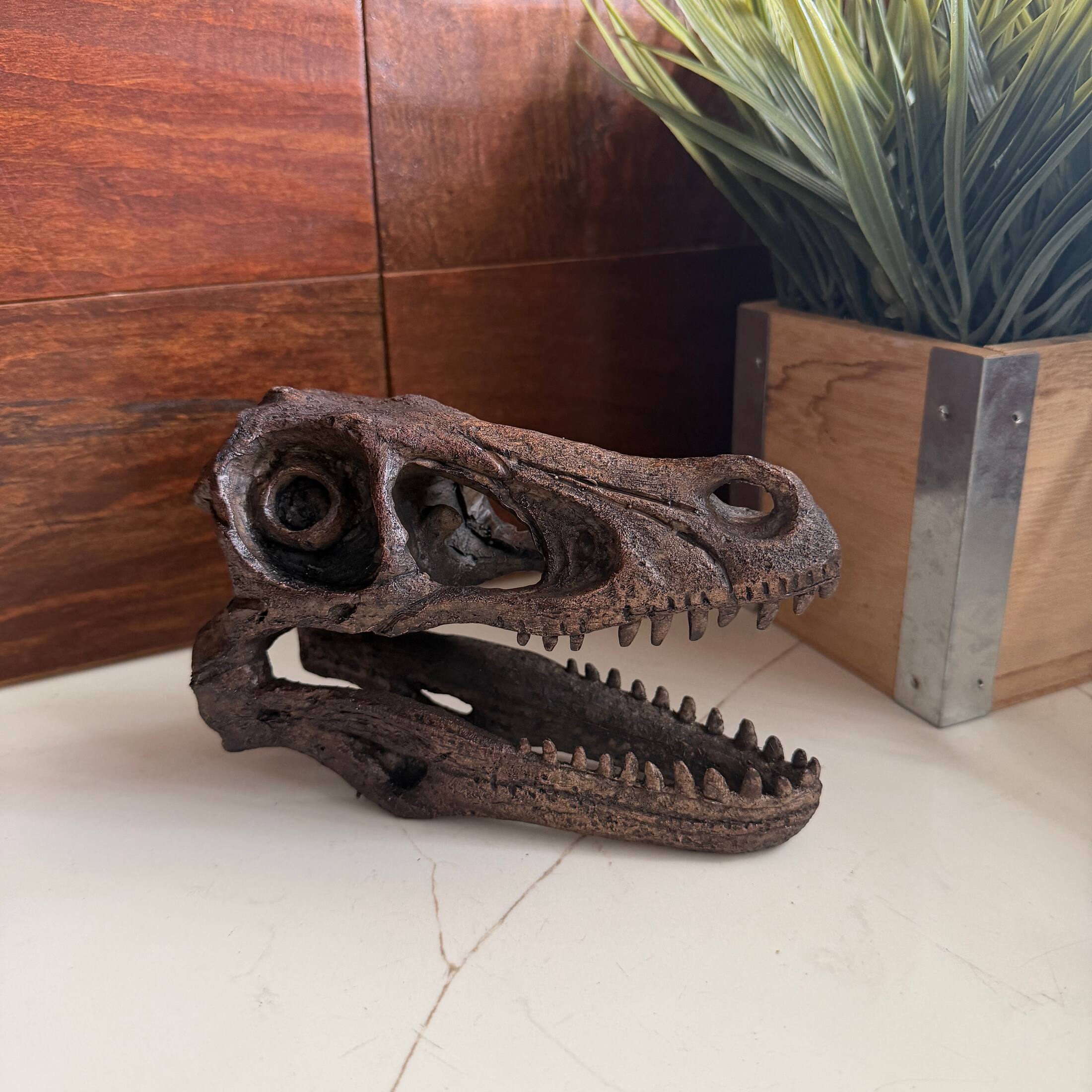 Alt View 5. Things2Die4 - Velociraptor Statue Brown Resin Dinosaur Fossil Replica 7 Inch Decor - Brown.