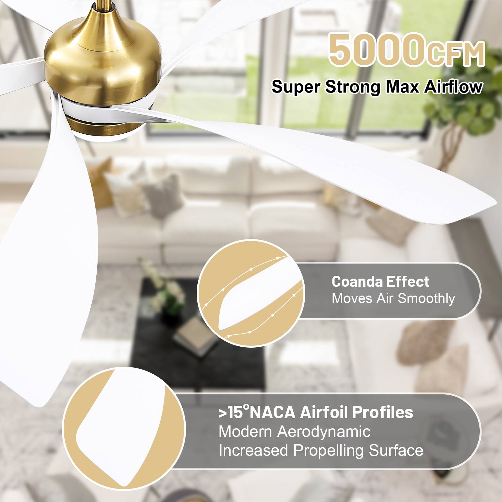 5000 CFM Super Strong Max Airflow  
Coanda Effect Moves Air Smoothly  
>15° NACA Airfoil Profiles Modern Aerodynamic Increased Propelling Surface