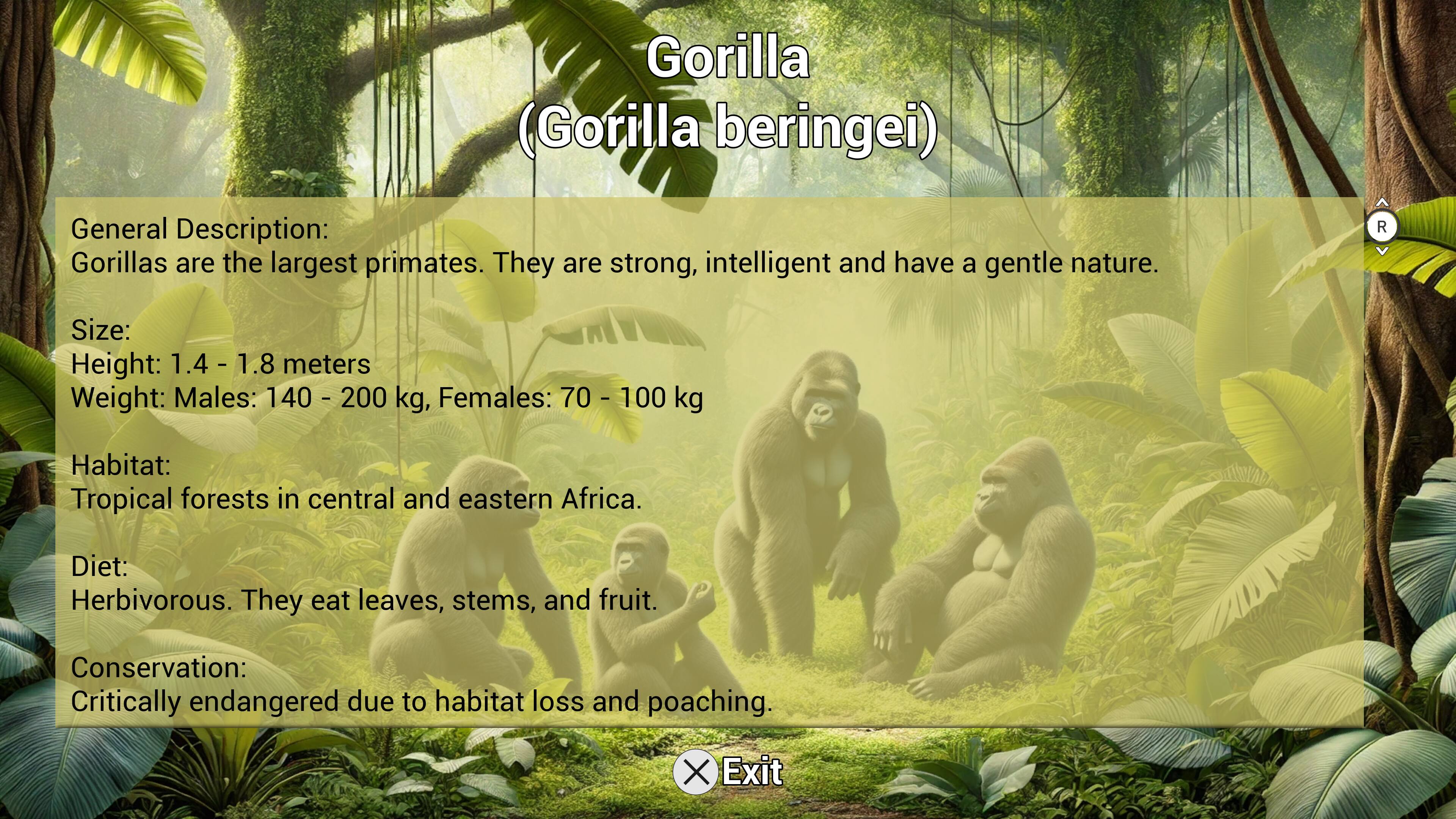 Gorilla (Gorilla beringei) General Description: Gorillas are the largest primates. They are strong, intelligent, and have a gentle nature. Size: Height: 1.4-1.8 meters Weight: Males: 140-1200 kg, Females: 70-700 kg Habitat: Tropical forests in central and eastern Africa. Diet: Herbivorous. They eat leaves, stems, and fruit. Conservation: Critically endangered due to habitat loss and poaching.