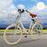 Alt View 2. Topteng - 24" Beach Cruiser Bike for Men/Women with Cup Holder, High Carbon Steel Frame, Dual Brakes, Rear Rack and Basket, Yellow - Yellow.