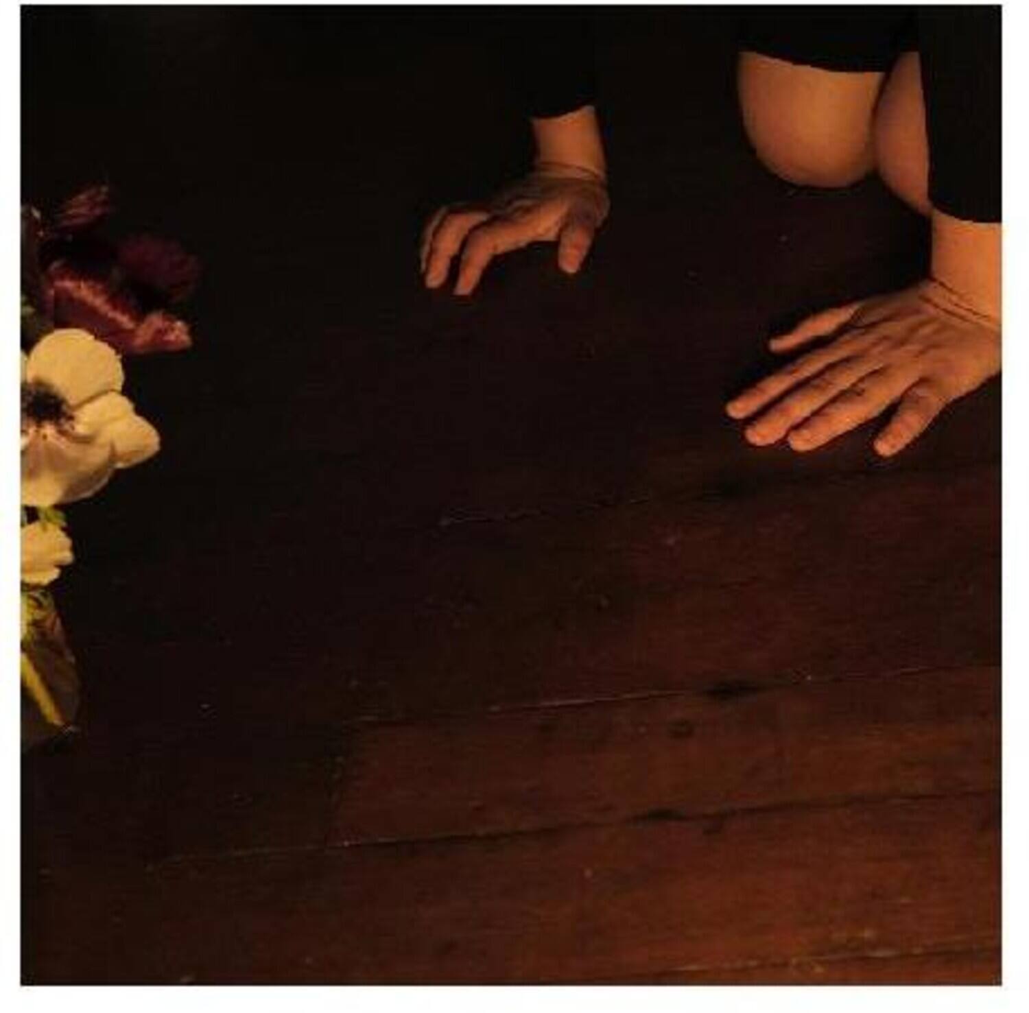Sally Decker - In The Tender Dream   - COMPACT DISCS [CD] price history on PriceWatchPro