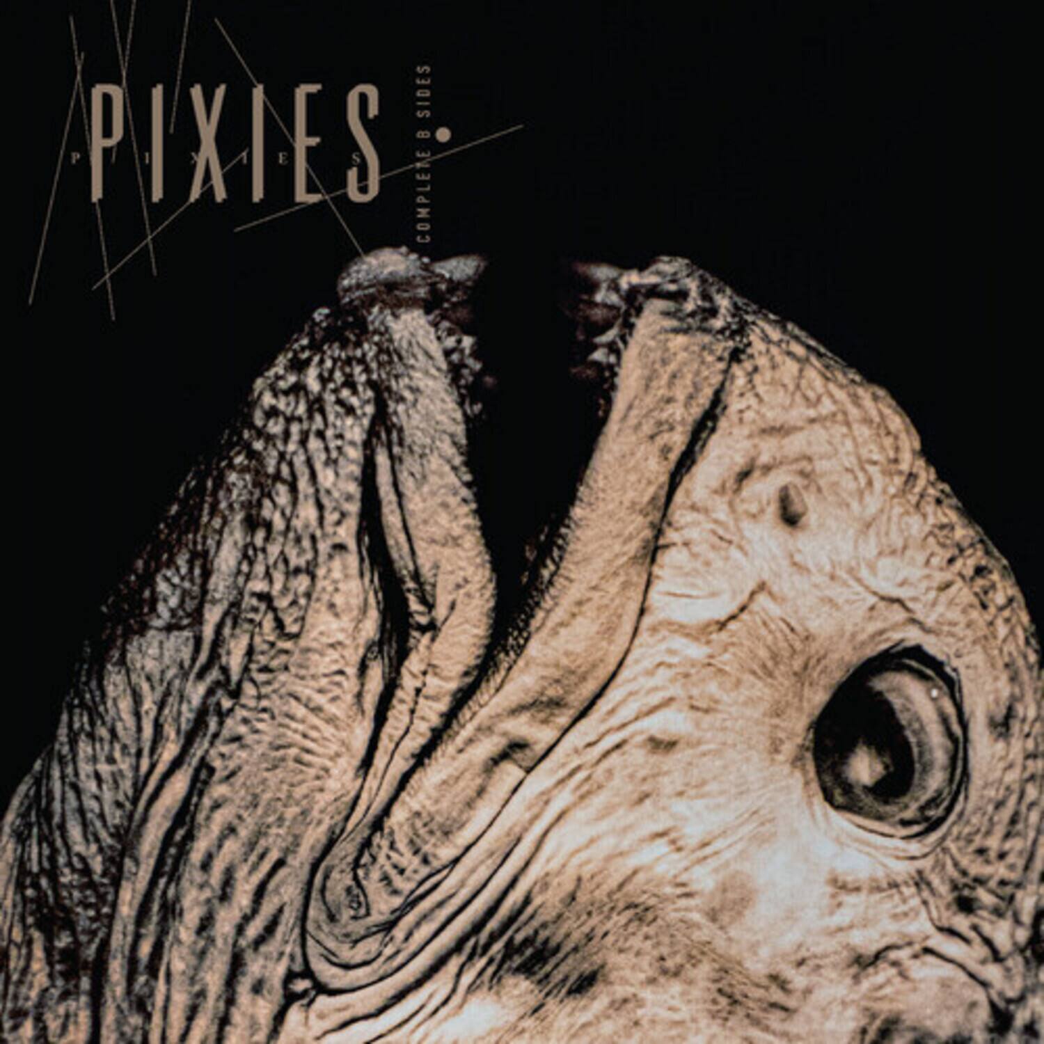 PIXIES  
COMPLETE  
SIDES
