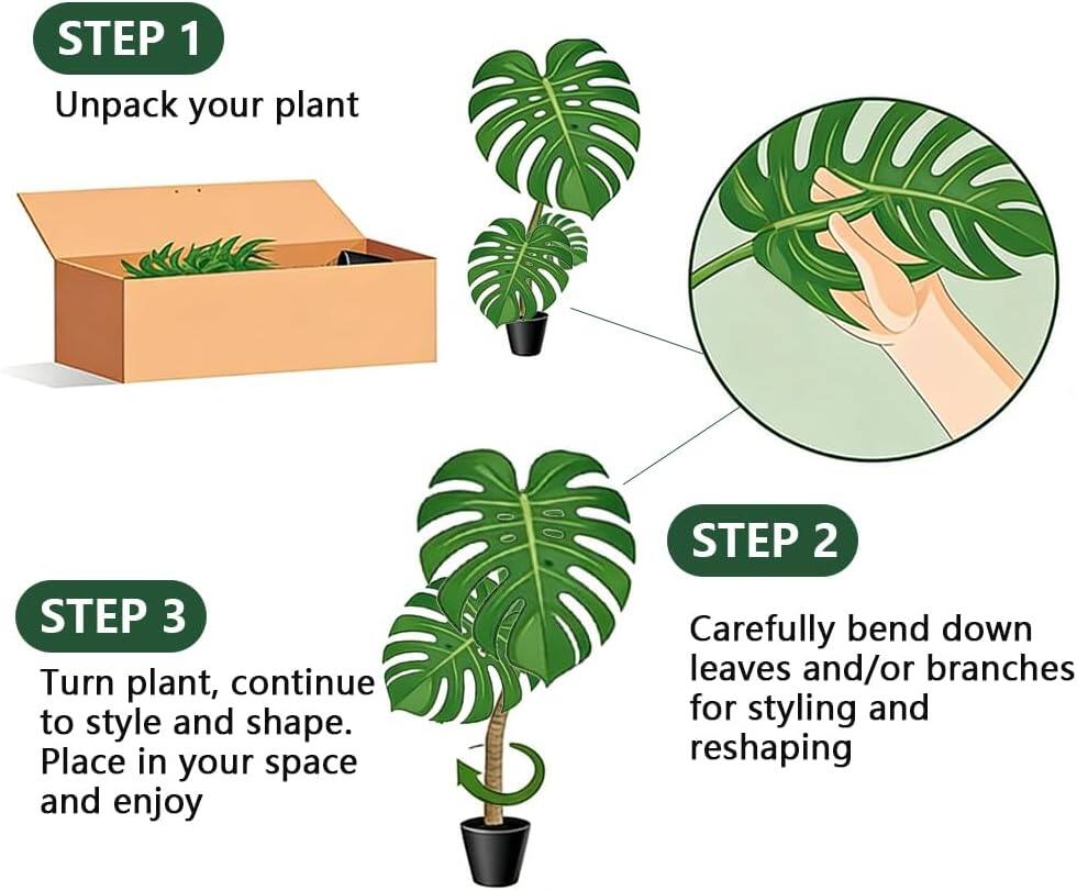 STEP 1: Unpack your plant

STEP 2: Carefully bend down leaves and/or branches for styling and reshaping

STEP 3: Turn plant, continue to style and shape. Place in your space and enjoy