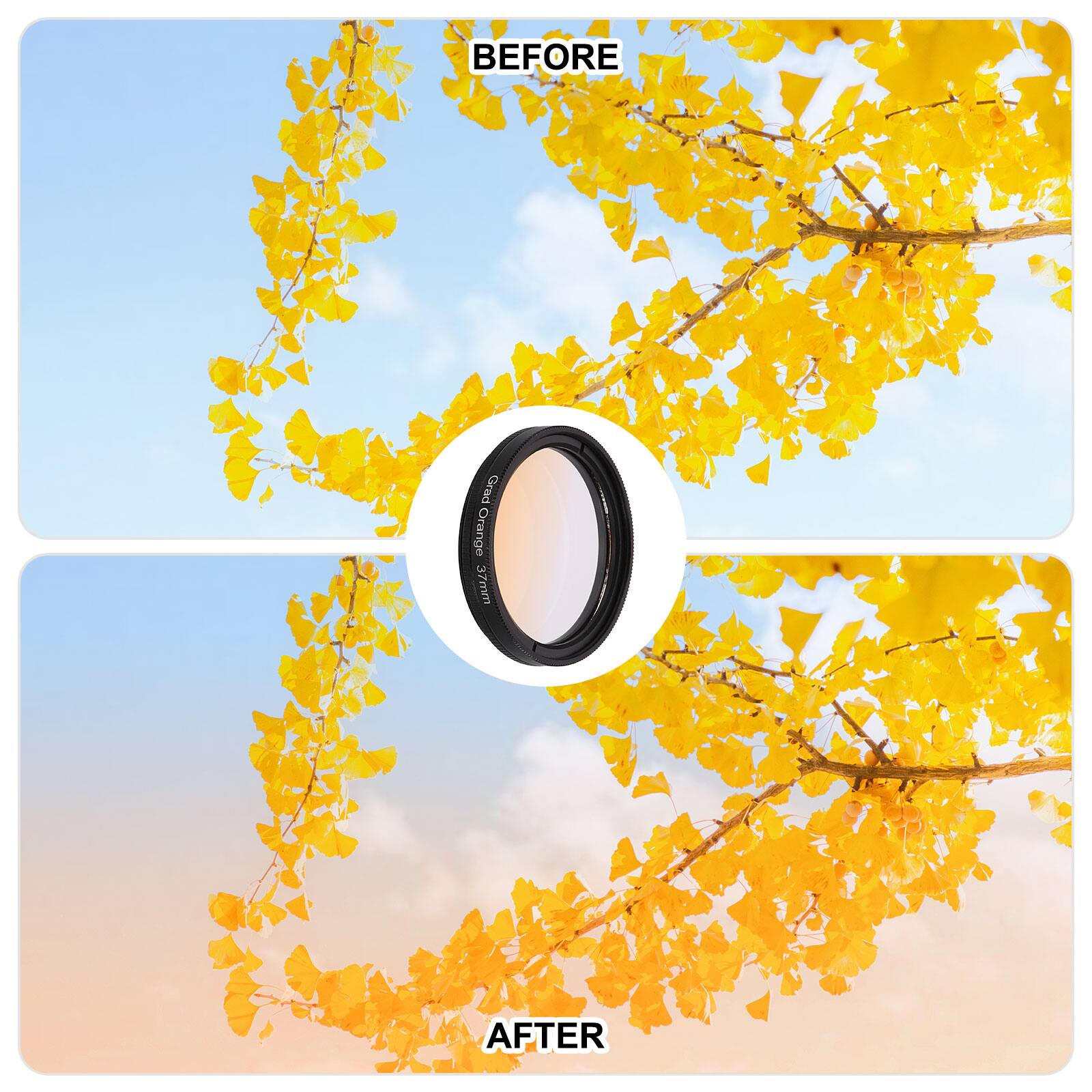 BEFORE  
Grad Orange 37mm  
AFTER