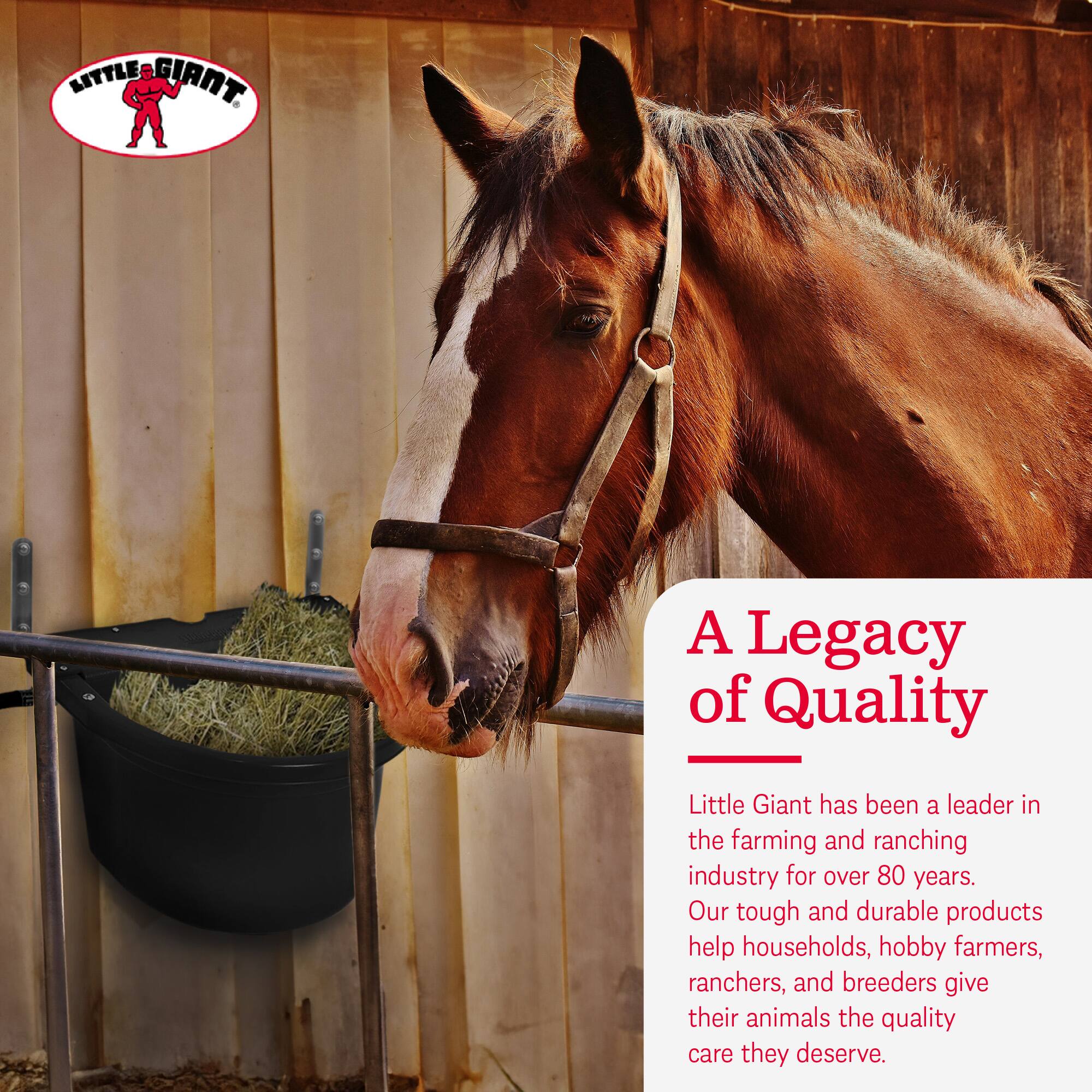 Little Giant 20 Quart Heavy Duty Mountable Plastic Fence Feeder Bucket ...