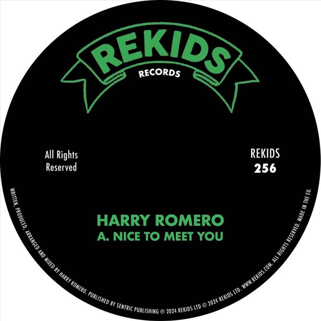 Nice to Meet You [12 inch Vinyl Single]