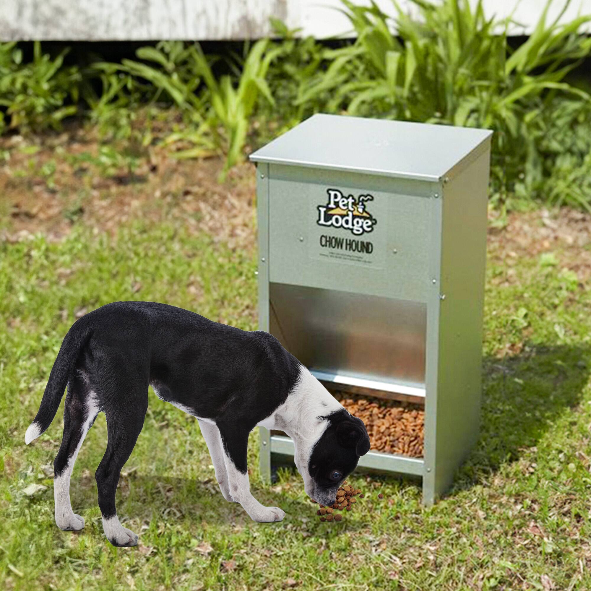 Pet Lodge CHOW HOUND