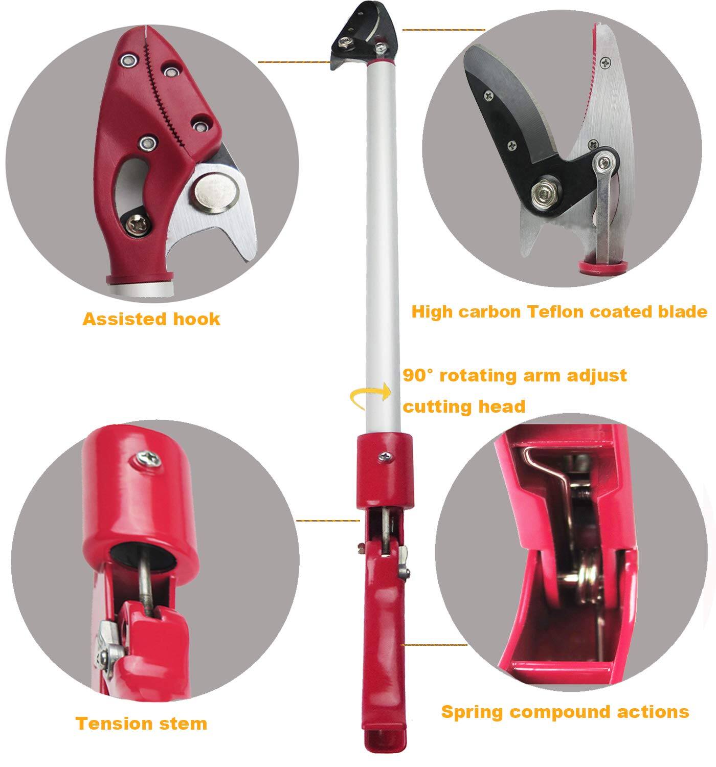 - Assisted hook
- High carbon Teflon coated blade
- 90° rotating arm adjust cutting head
- Tension stem
- Spring compound actions