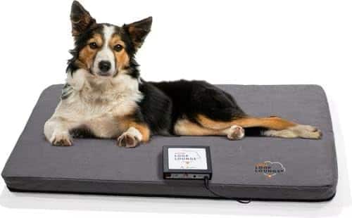 Assisi - LOOP Lounge tPEMF System for Dogs and Cats - Medium price history on PriceWatchPro