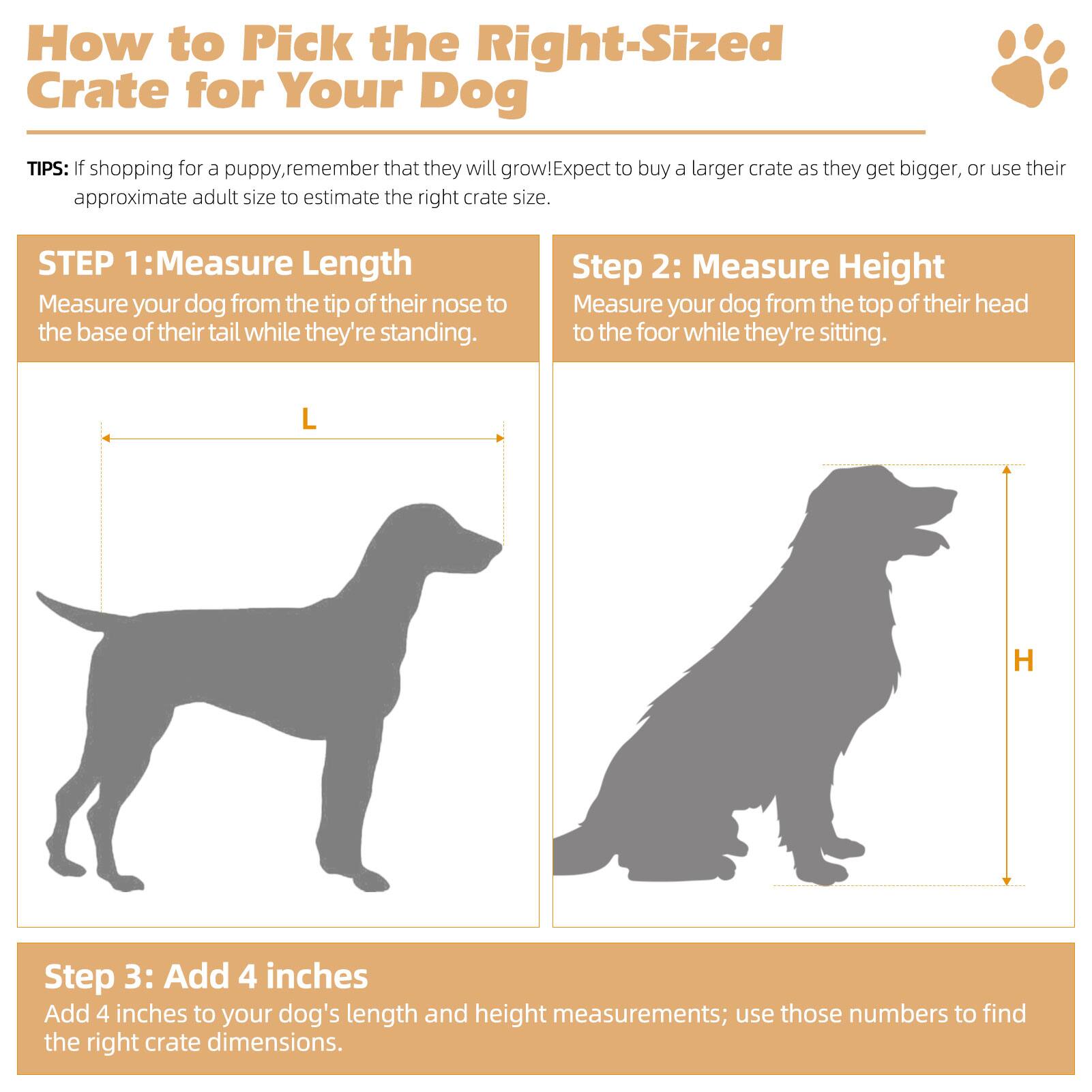 How to Pick the Right-Sized Crate for Your Dog

TIPS: If shopping for a puppy, remember that they will grow! Expect to buy a larger crate as they get bigger, or use their approximate adult size to estimate the right crate size.

STEP 1: Measure Length
Measure your dog from the tip of their nose to the base of their tail while they're standing.

Step 2: Measure Height
Measure your dog from the top of their head to the floor while they're sitting.

Step 3: Add 4 inches
Add 4 inches to your dog's length and height measurements; use those numbers to find the right crate dimensions.