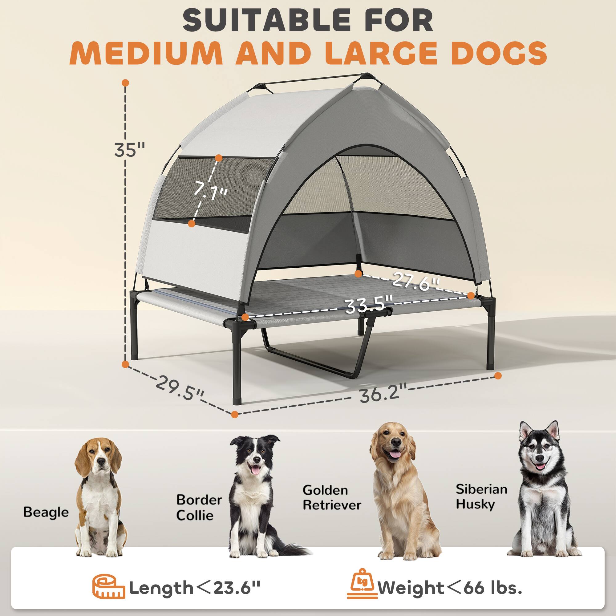 SUITABLE FOR  
MEDIUM AND LARGE DOGS  

35"  
7.1"  
27.64"  
33.5"  
29.5"  
36.2"  

Beagle  
Border Collie  
Golden Retriever  
Siberian Husky  

Length < 23.6"  
Weight < 66 lbs.