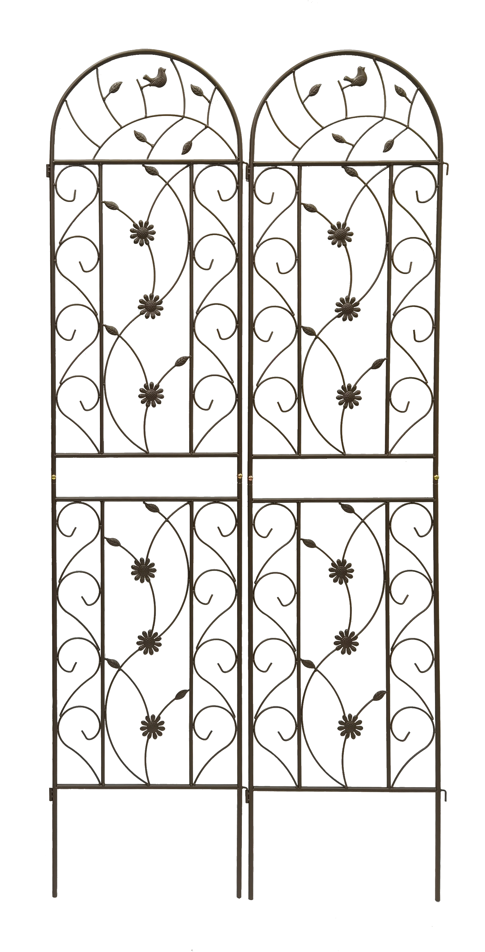 2 Caco 2 NOGO AOO 2 eaCo