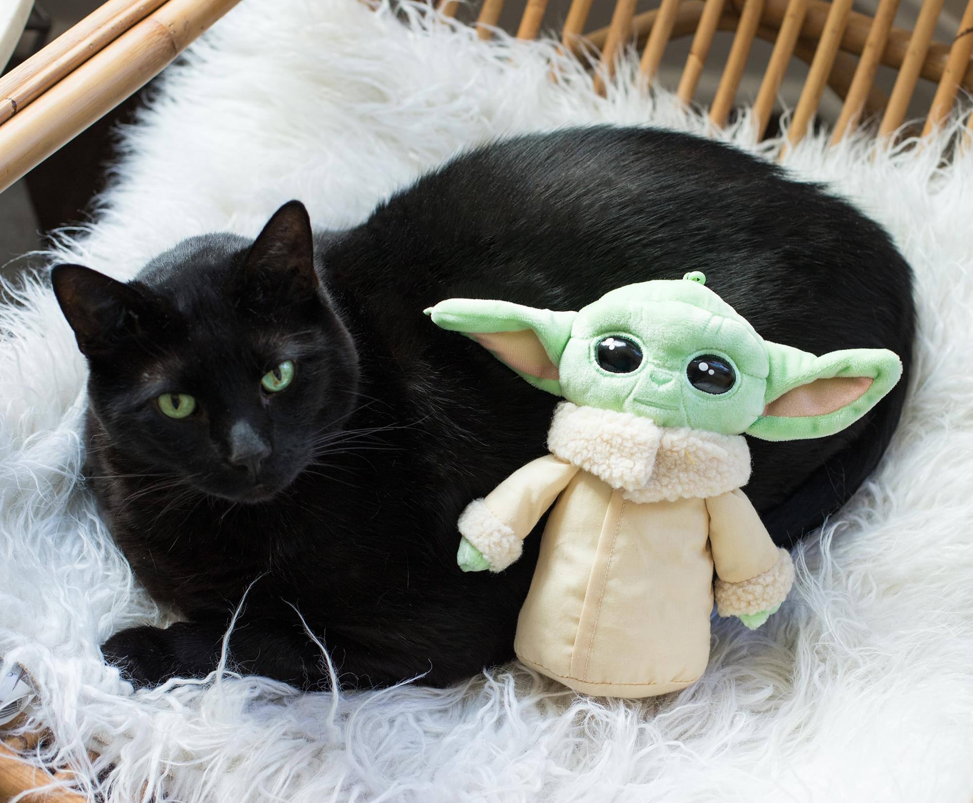 Alt View 3. LoungeFly - Star Wars: The Mandalorian The Child Plush Toy with Pocket | 8 Inches - Green.