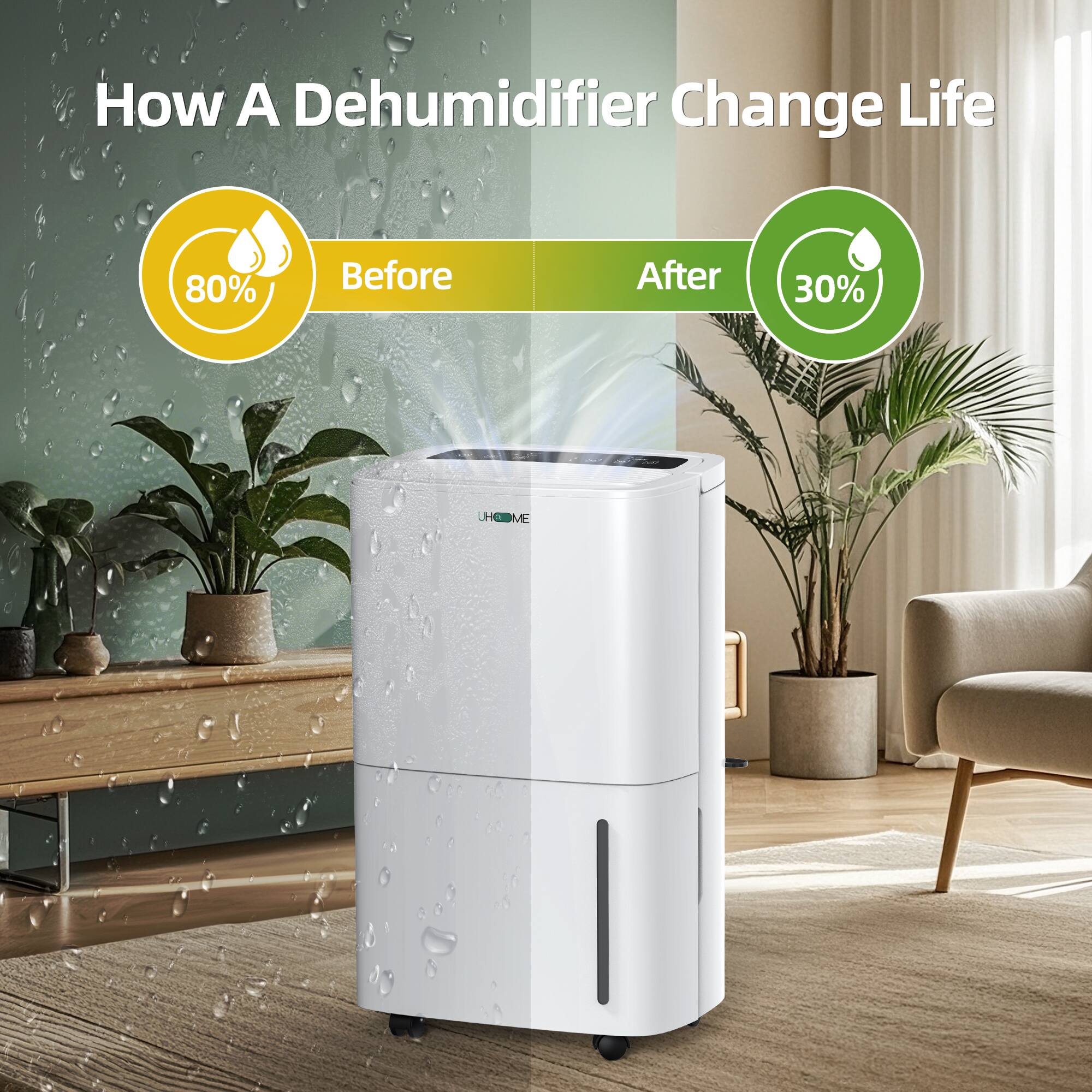 How A Dehumidifier Change Life

Before 80%

After 30%
