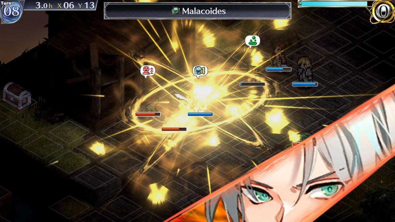 Turn 08 3.0h x 06 Y 13 Malacoides 1