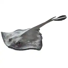 Safari Ltd. - Sting Ray