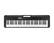 Casio is the brand of the electronic keyboard shown in the image. The keyboard is black and white and features a Casio logo on the front.