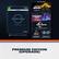 ALSO INCLUDES:
- UPGRADE
- ALA MRES S WINSKNNS STARFIELD
- TERRAN ARMADA STORY DLC
- STARFIELD SHATTERED SPACE STORY EXPANSION
- PREMIUM EDITION
- CREATIONS 1,000 CREATION CREDITS
- "Bethesda"
- BASE GAME REQUIRED TO PLAY (SOLD SEPARATELY)
- SOUNDTRACK
- ART BOOK
- CONSTELLATION ACCESS TO SKIN PACK
- DIGITAL EXTRAS
PREMIUM EDITION (UPGRADE)