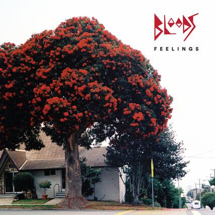 Front. The Bloods - Feelings - COMPACT DISCS.