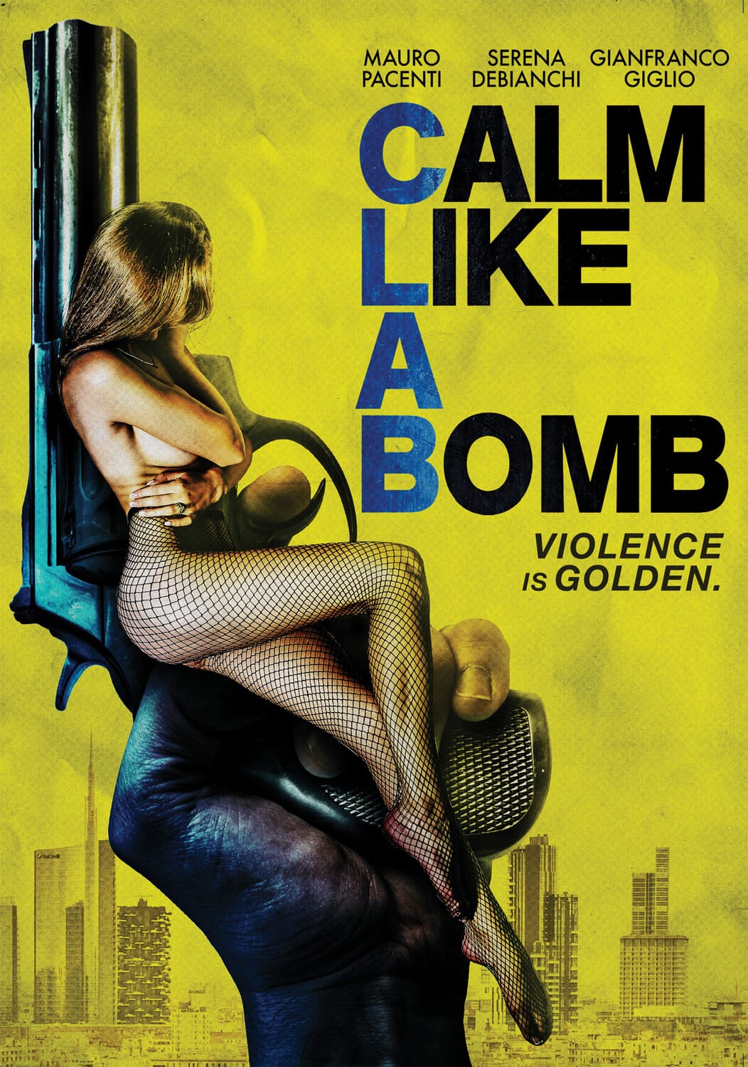 Calm Like a Bomb  - DVD