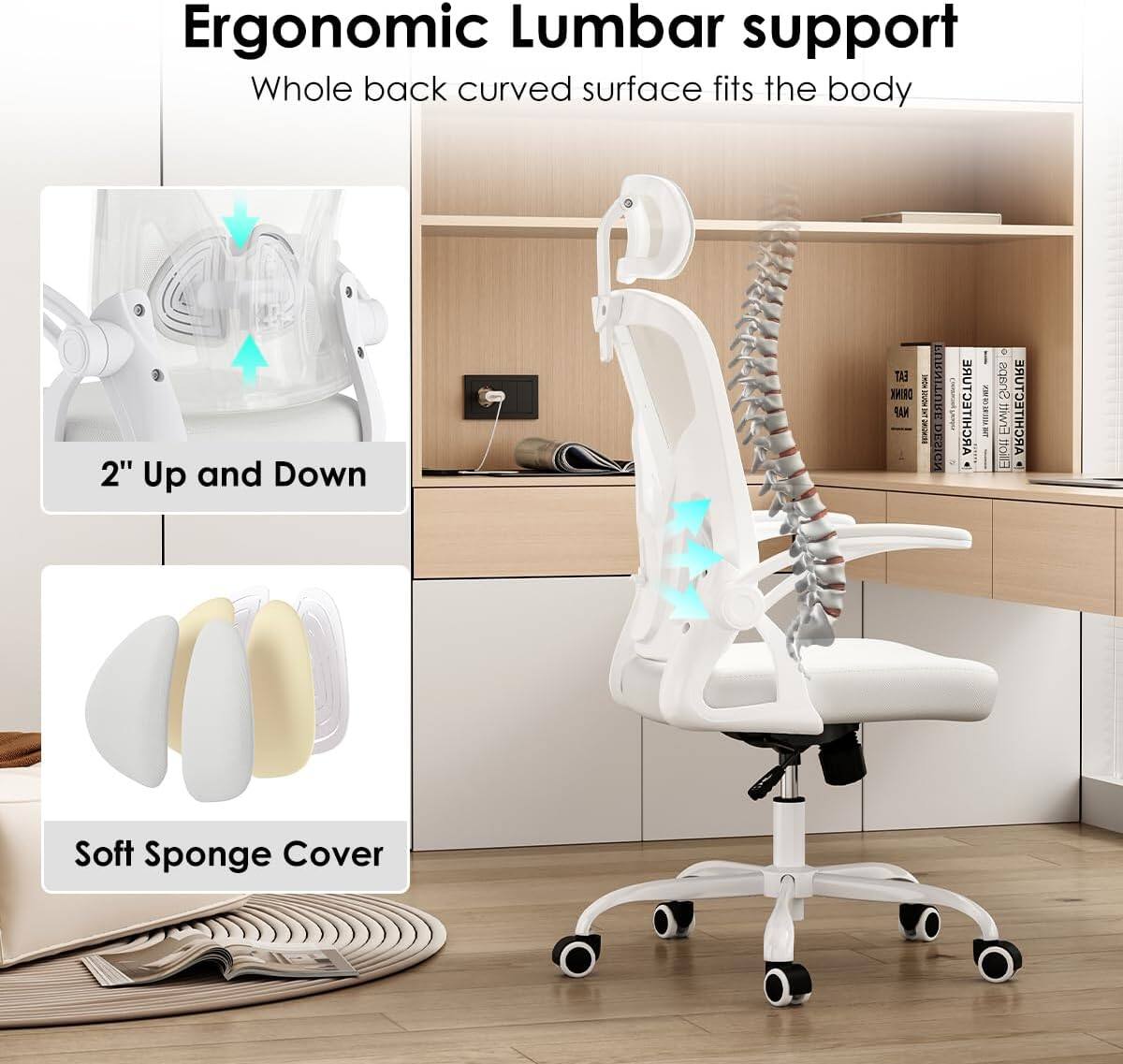 Ergonomic Lumbar support  
Whole back curved surface fits the body  

2" Up and Down  

Soft Sponge Cover