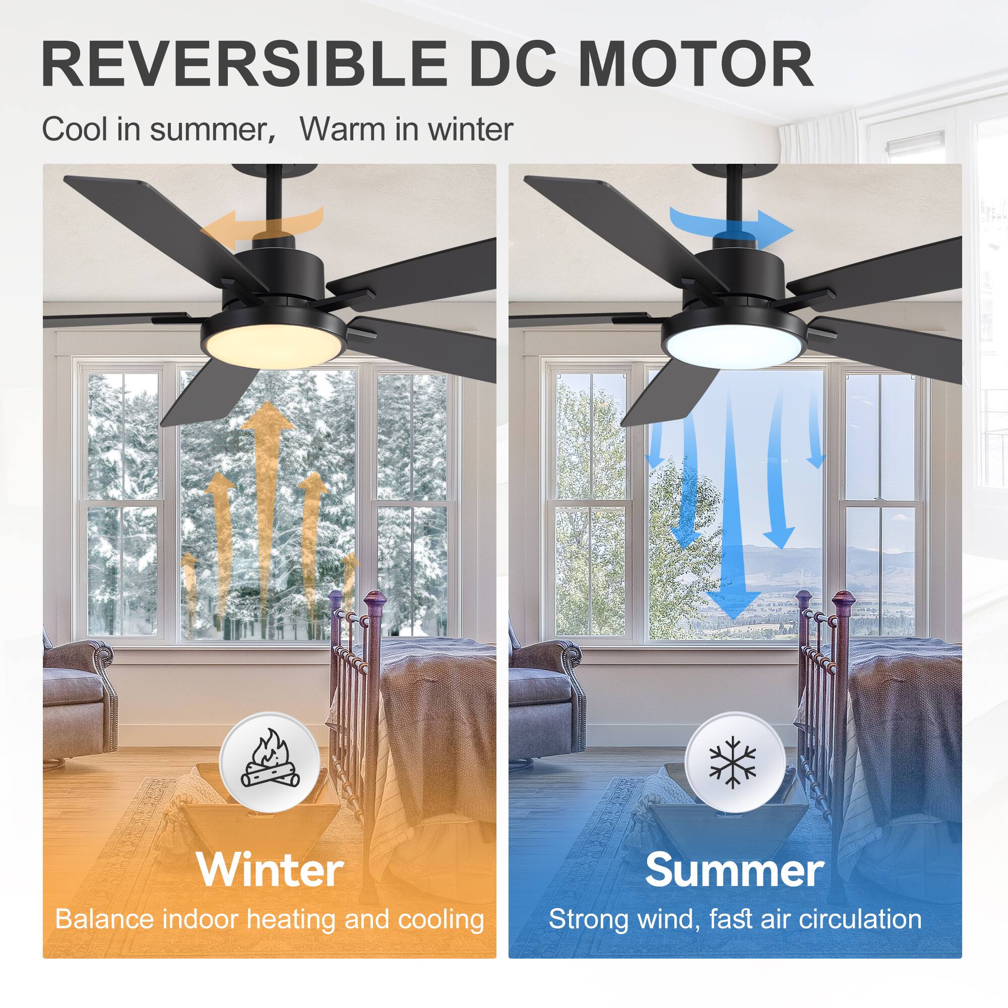 REVERSIBLE DC MOTOR  
Cool in summer, Warm in winter  

Winter  
Balance indoor heating and cooling  

Summer  
Strong wind, fast air circulation