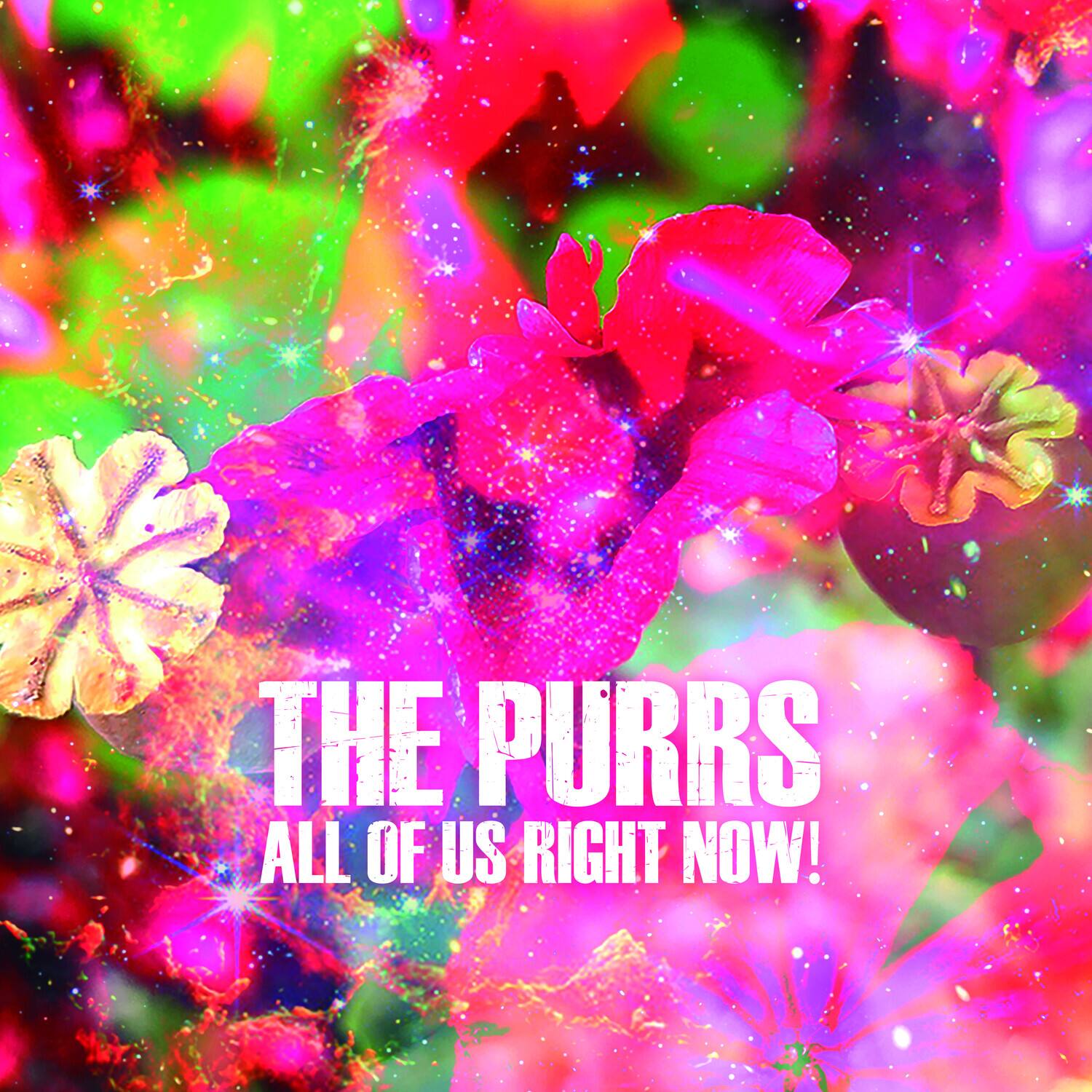 The Purrs - All of Us Right Now!   - COMPACT DISCS [CD] price history on PriceWatchPro