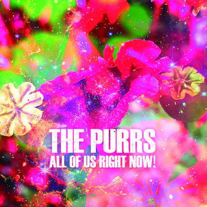 THE PURRS ALL OF US RIGHT NOW!