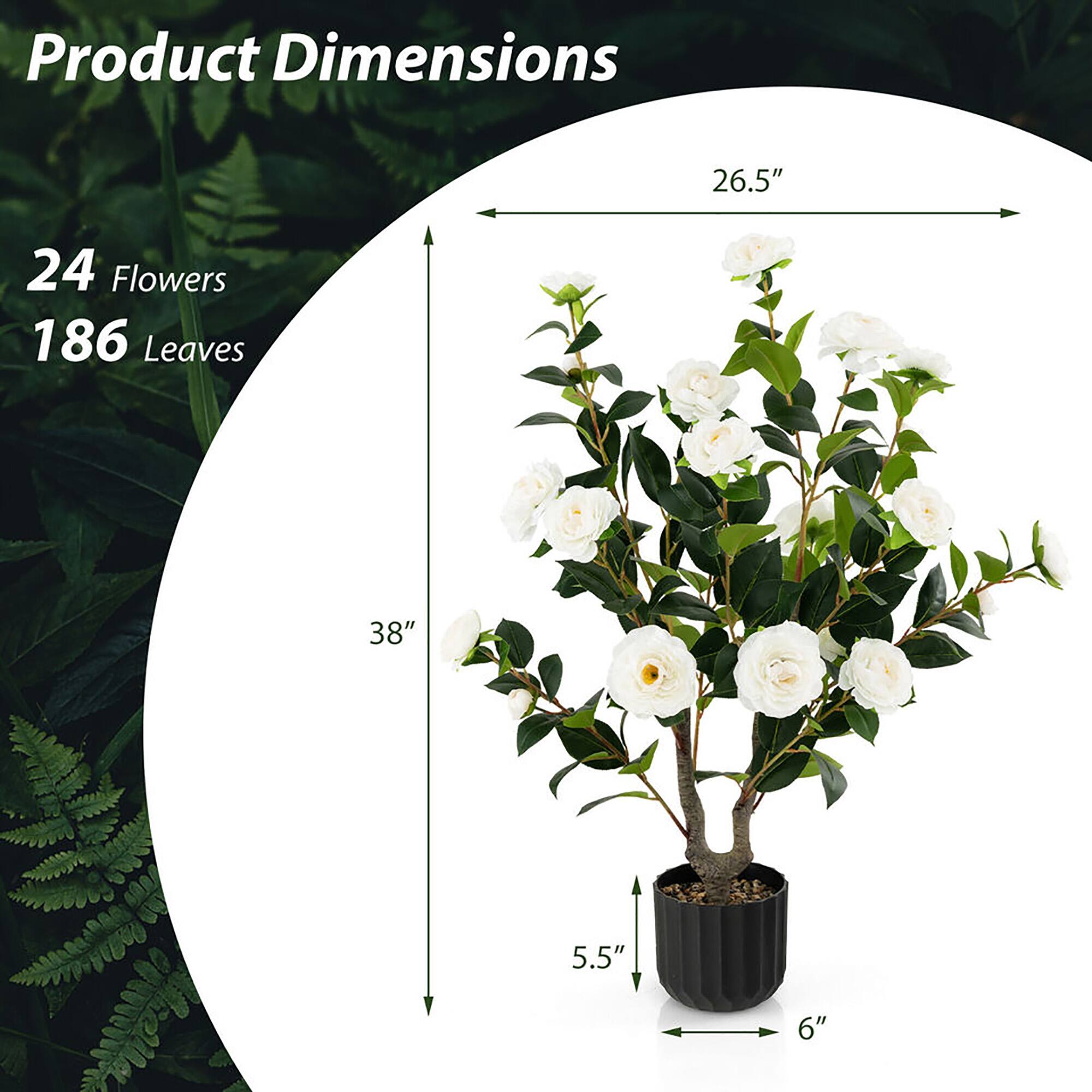 Product Dimensions

24 Flowers  
186 Leaves  

26.5"  
38"  
5.5"  
6"