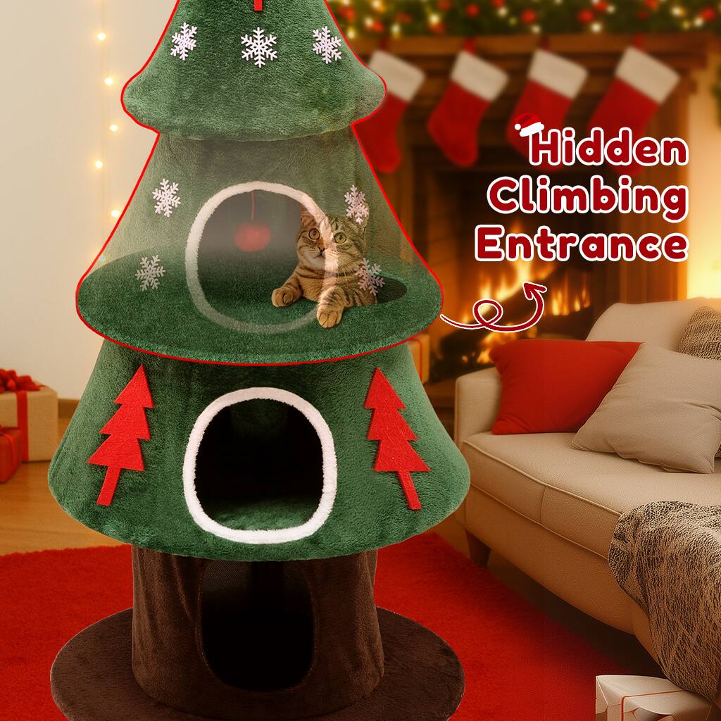 Hidden Climbing Entrance