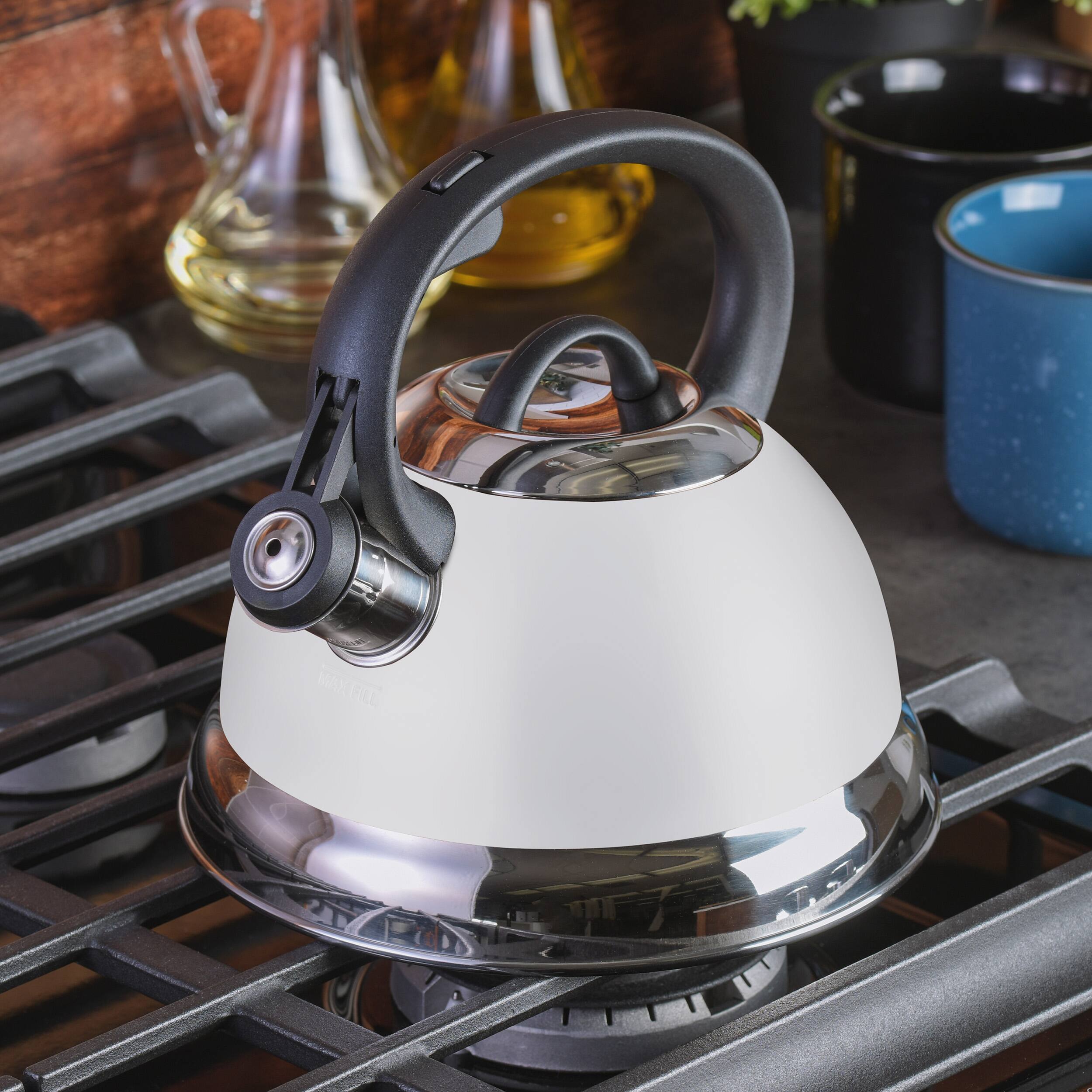 Mr. Coffee Flintshire Tea Kettle