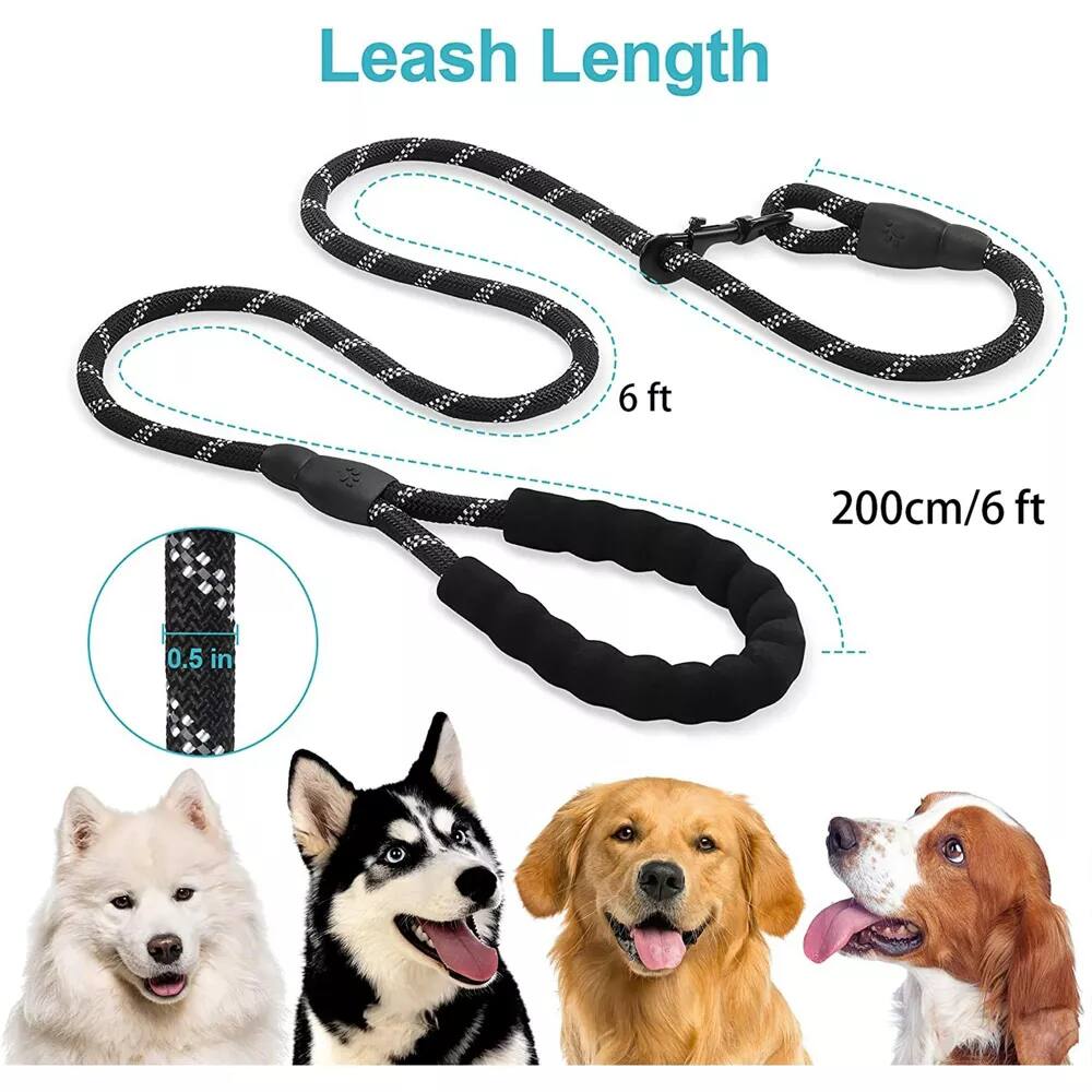 Leash Length

6 ft

200cm/6 ft

0.5 in