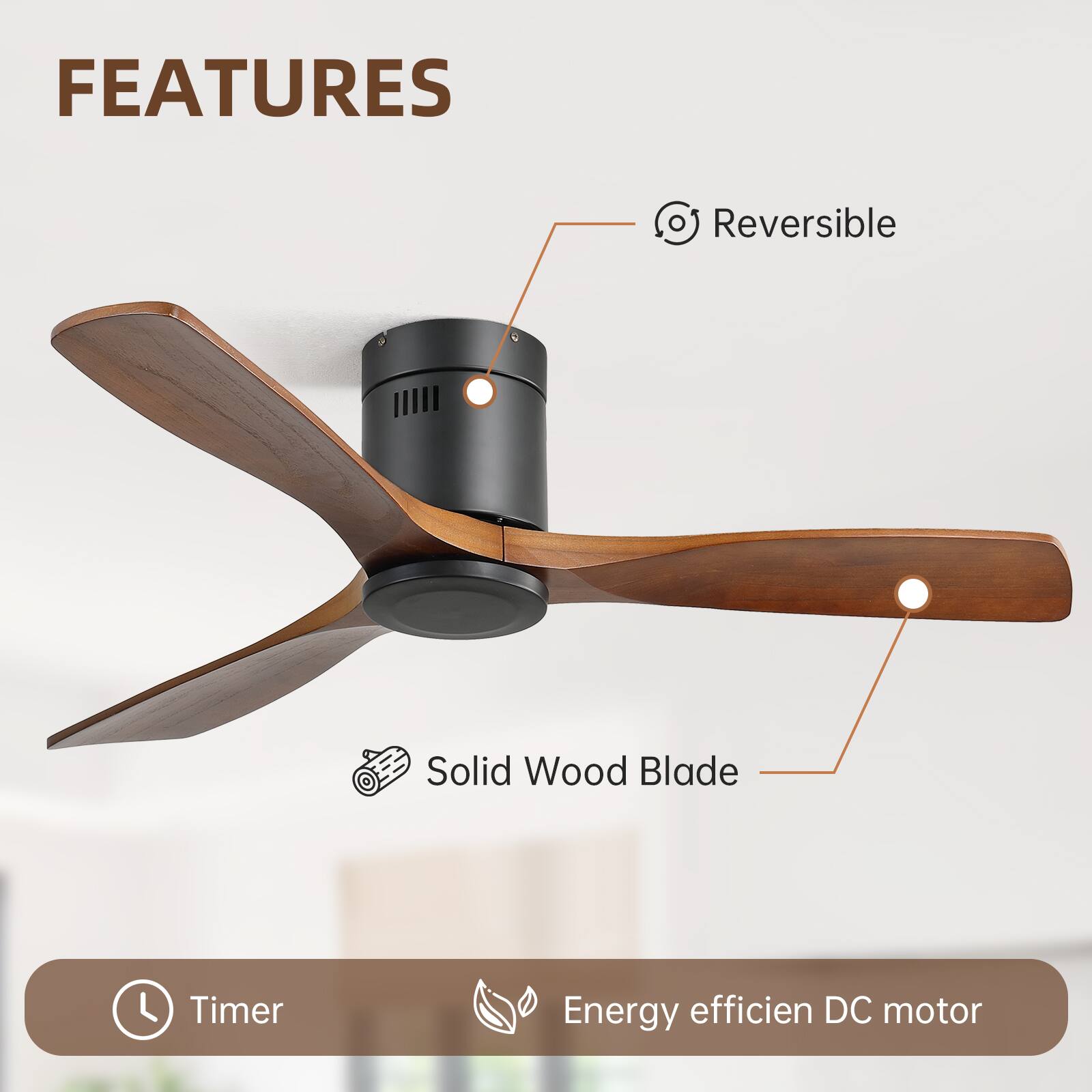 FEATURES

- Reversible
- Solid Wood Blade
- Timer
- Energy efficient DC motor
