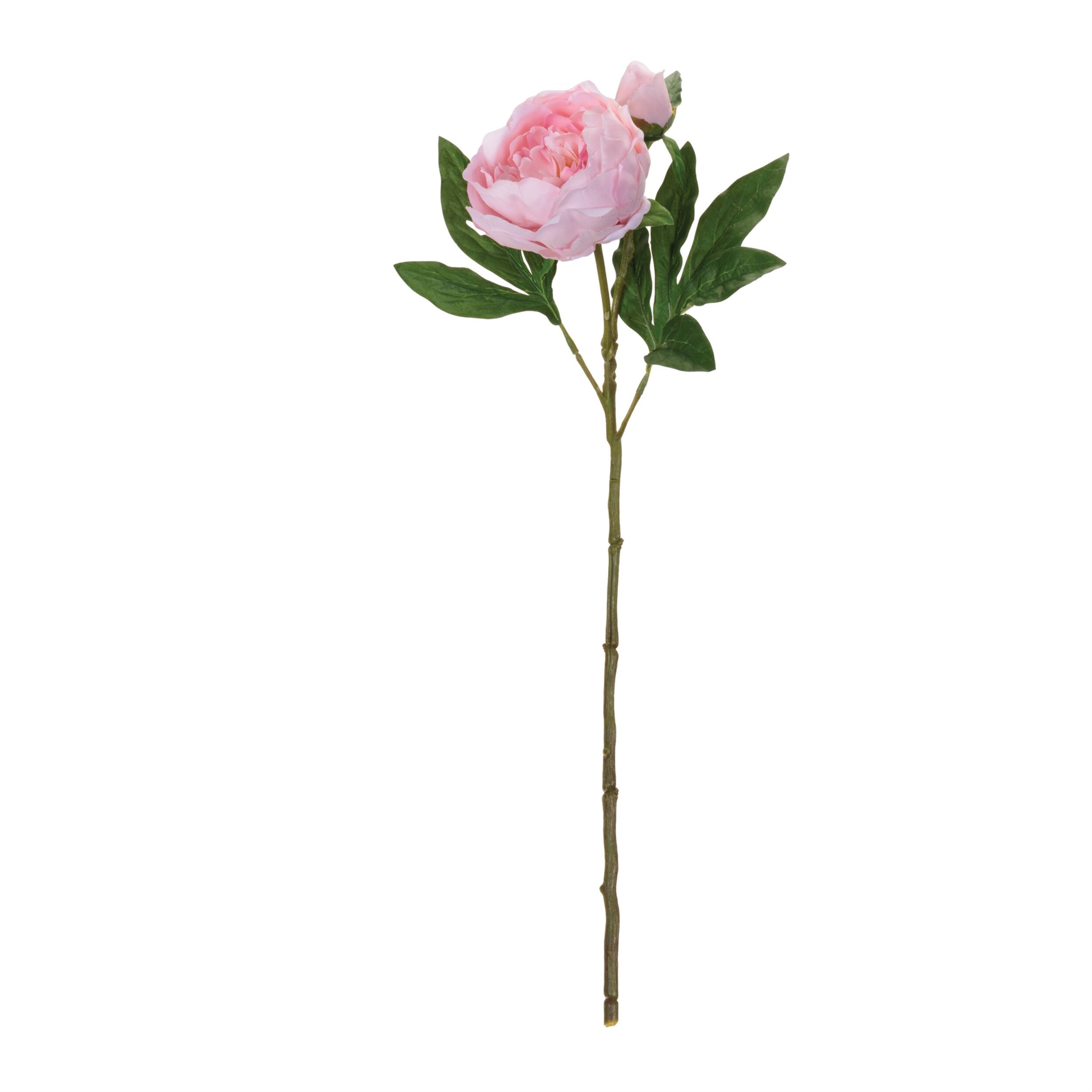 Angle. BreeBe - Peony Floral Spray (Set of 6) - Pink, Green.