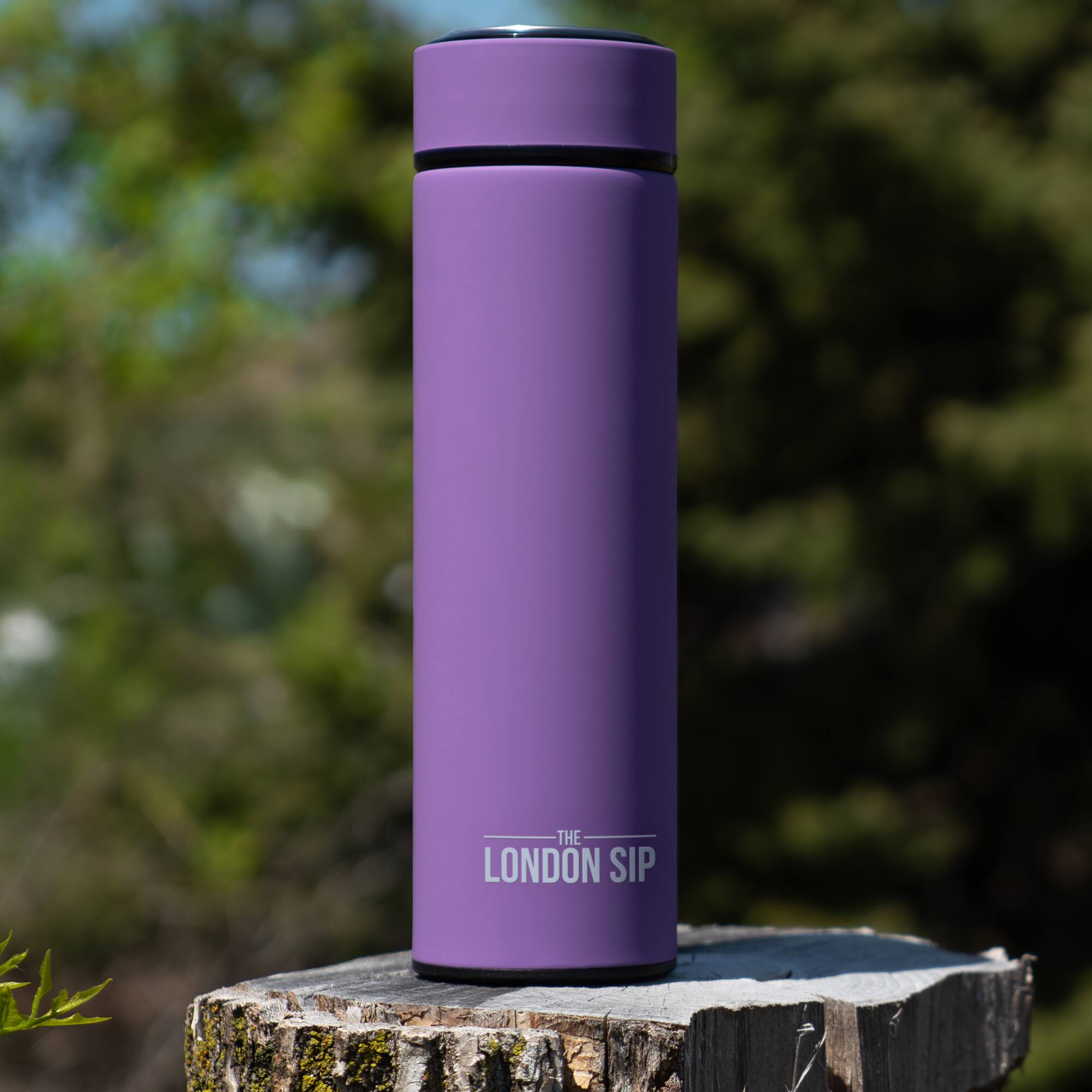 THE LONDON SIP