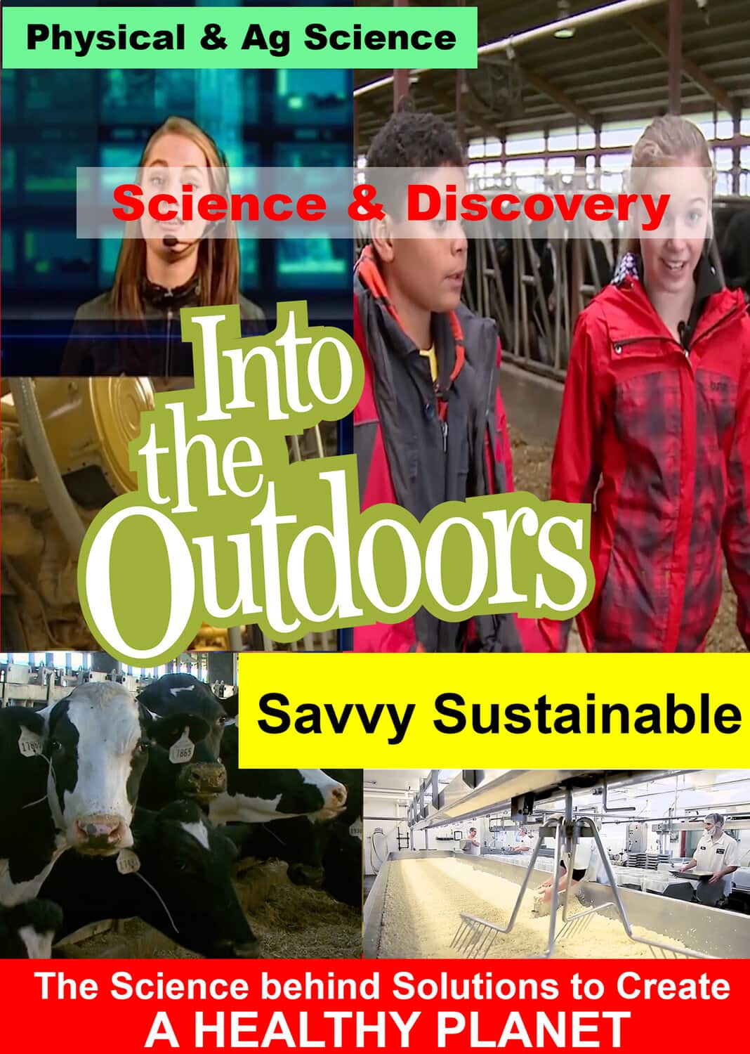 Savvy Sustainable  - DVD