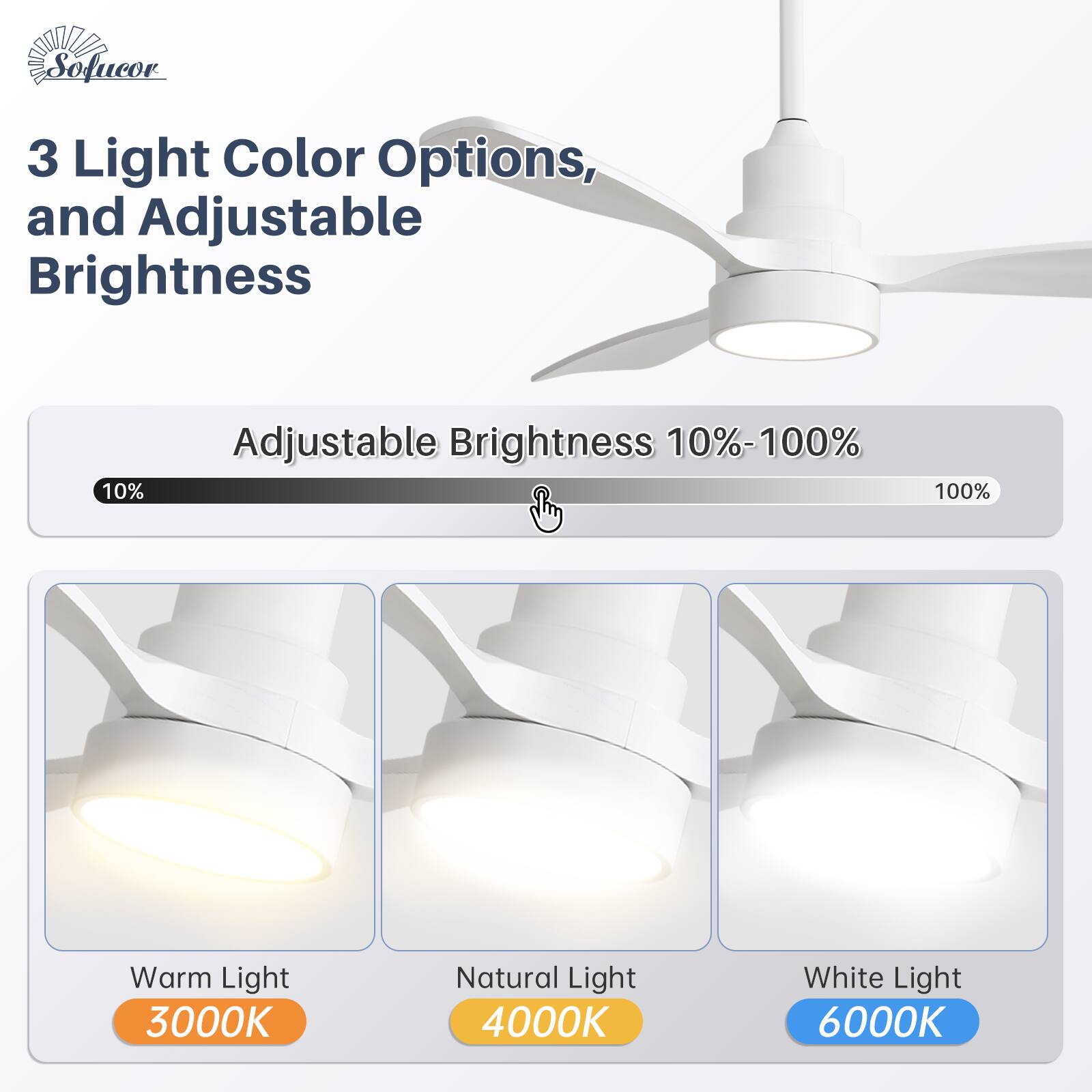 3 Light Color Options, and Adjustable Brightness

Adjustable Brightness 10%-100%

Warm Light 3000K  
Natural Light 4000K  
White Light 6000K