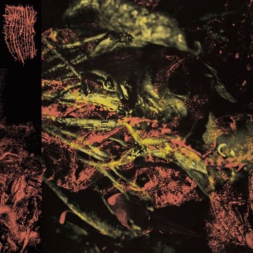 Hissing - Permanent Destitution   - COMPACT DISCS [CD] price history on PriceWatchPro