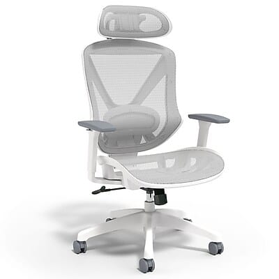 Staples - Dexley Ergonomic Mesh Swivel Task Chair, (UN61365) - Gray