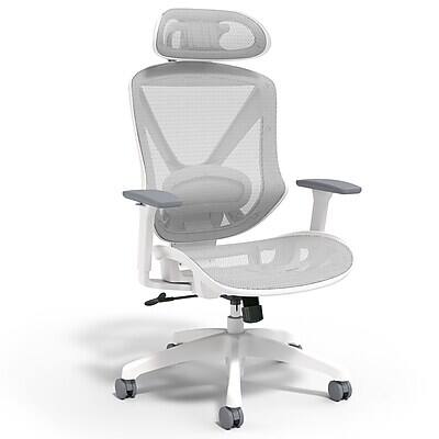 Staples - Dexley Ergonomic Mesh Swivel Task Chair, (UN61365) - Gray